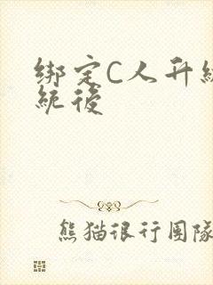 绑定C人升级系统后封面