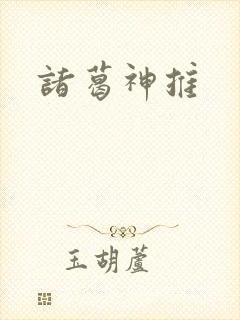 诸葛神推