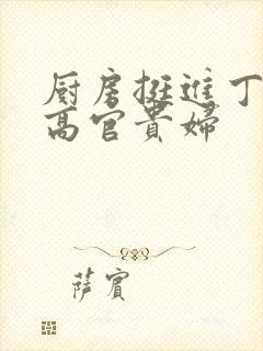 厨房挺进丁字裤高官贵妇封面