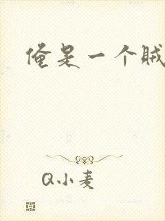 俺是一个贼