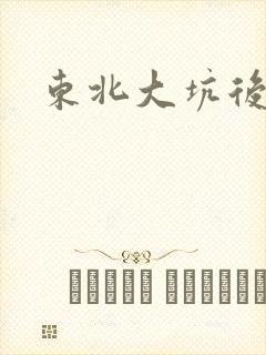 东北大坑后续2