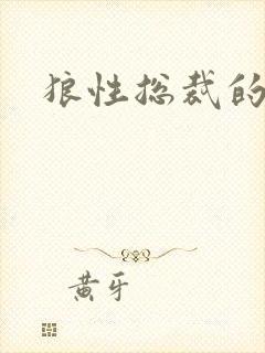 狼性总裁的尤物封面