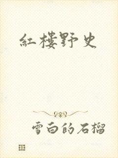 红楼野史