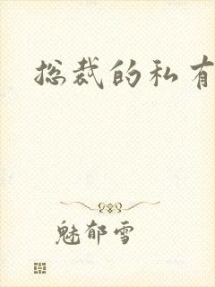 总裁的私有宝贝