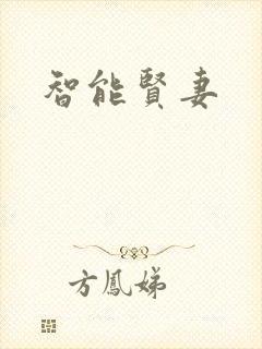 智能贤妻封面