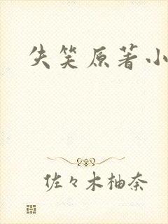 失笑原著小说