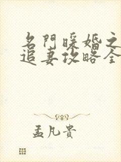 名门暖婚之权爷追妻攻略全文免费阅读封面