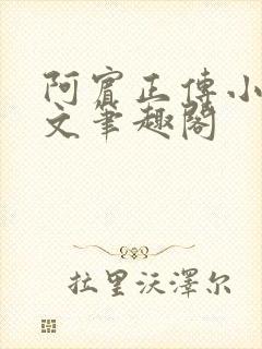 阿宾正传小说全文笔趣阁