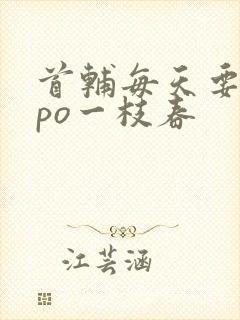 首辅每天要不够po一枝春封面