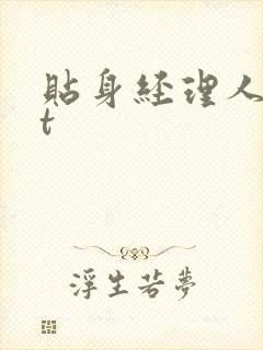贴身经理人txt
