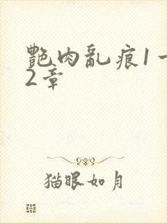 艳肉乱痕1一12章