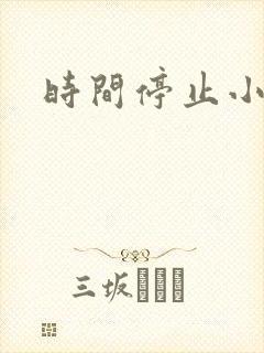 时间停止小说封面
