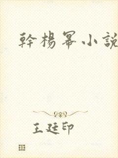 干杨幂小说