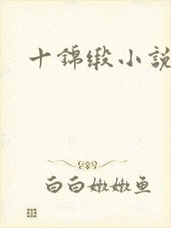 十锦缎小说