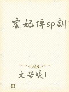 宸妃传sp训诫封面