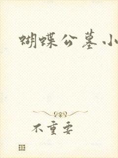 蝴蝶公墓小说