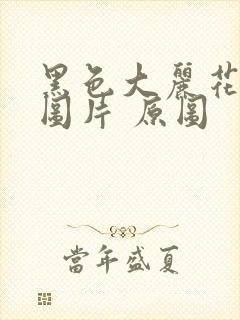 黑色大丽花真实图片 原图封面