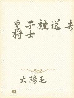 皇子被送去犒劳将士封面