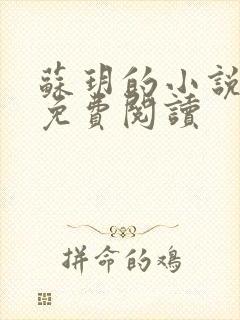 苏玥的小说全文免费阅读