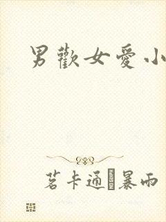 男欢女爱小说