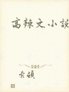 高辣文小说