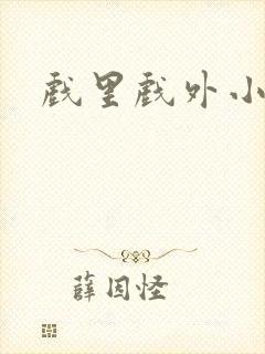戏里戏外小说