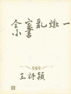 全家乱炖一锅烩小书