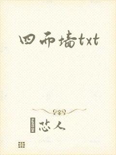 四面墙txt