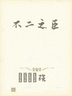 不二之臣封面