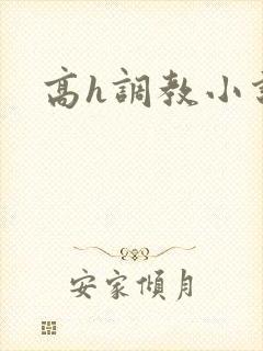 高h调教小说