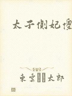 太子侧妃傻乎乎