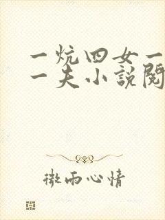 一炕四女一共侍一夫小说阅读封面