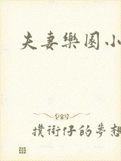 夫妻乐园小说