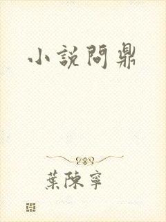 小说问鼎