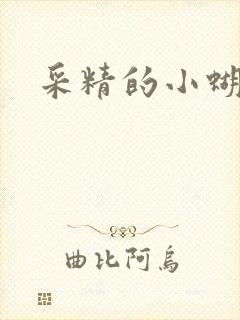 采精的小蝴蝶