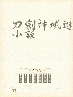 刀剑神域进击篇小说封面