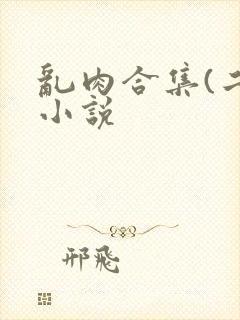 乱肉合集(二)小说