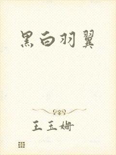 黑白羽翼