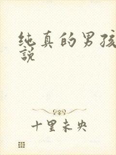 纯真的男孩子小说