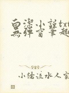 白洁小说txt无弹窗笔趣阁