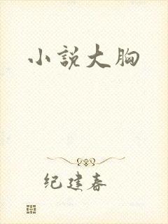 小说大胸封面