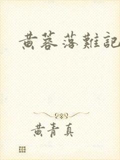 黄蓉落难记封面