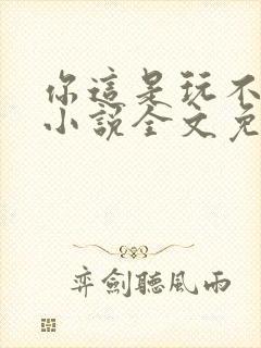 你这是玩不起呀小说全文免费阅读封面