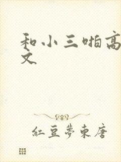 和小三啪高辣h文