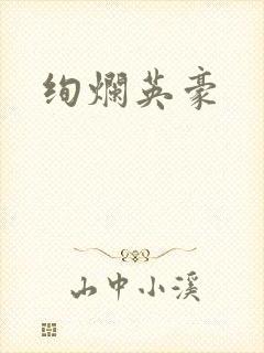 绚烂英豪