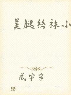 美腿丝袜小说封面