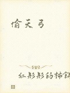 偷天弓封面