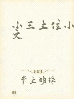 小三上位小说全文