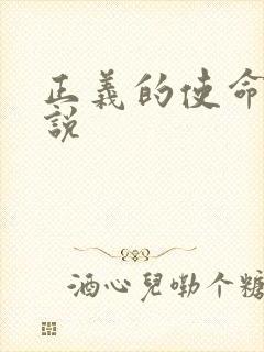 正义的使命 小说