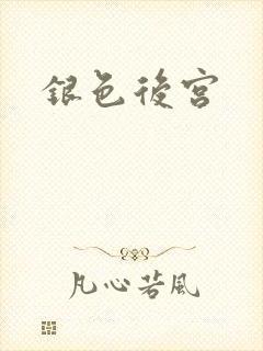 银色后宫封面
